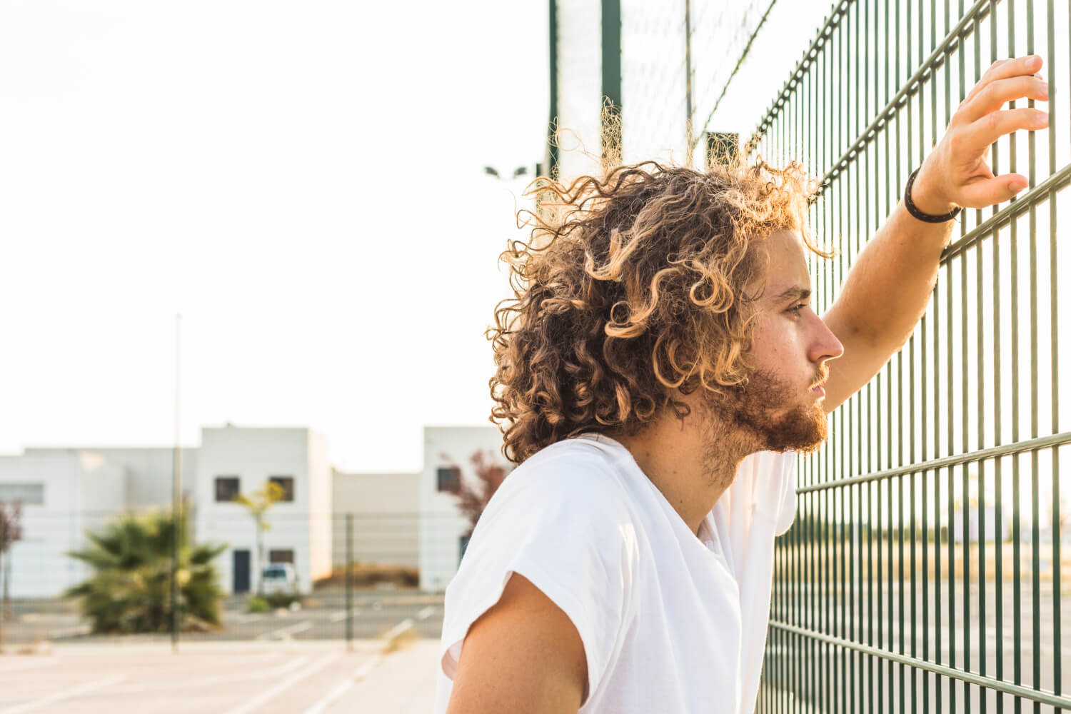 Curly Hair Transplant: What You Need to Know